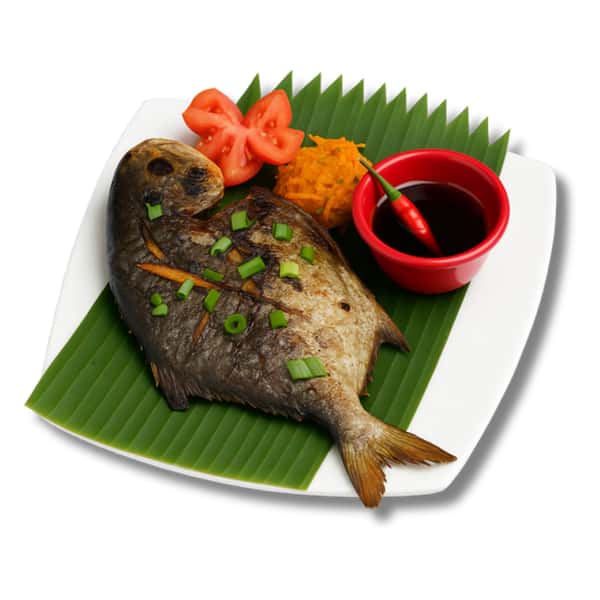 Grilled Pampano
