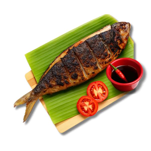 Grilled Bangus