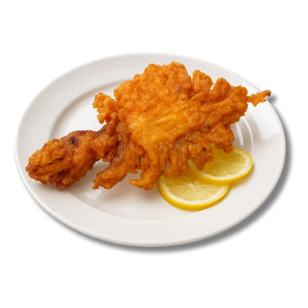 Butterfly Squid