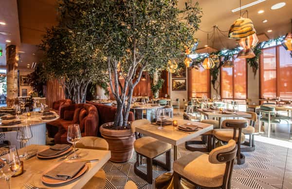 Spacious upscale restaurant dining room with indoor trees, geometric flooring, and warm natural lighting