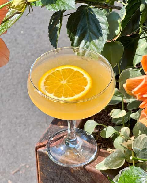 orange citrus cocktail
