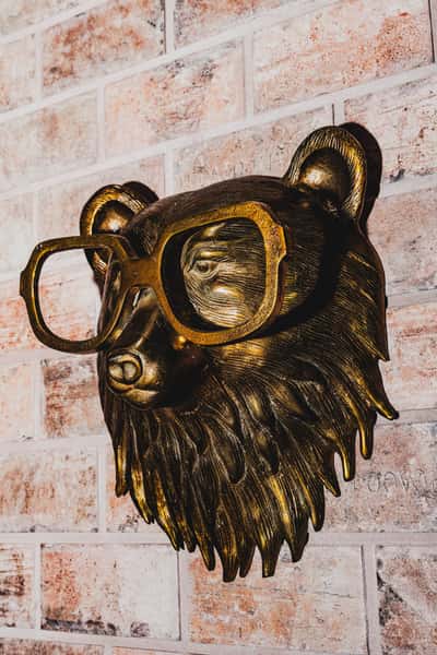 Bear