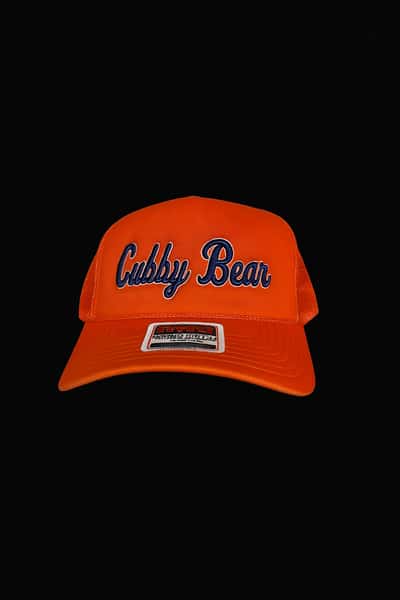Bears Puffy Hat