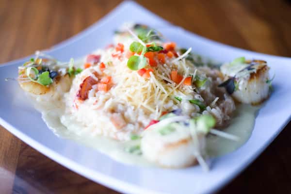 sea scallops