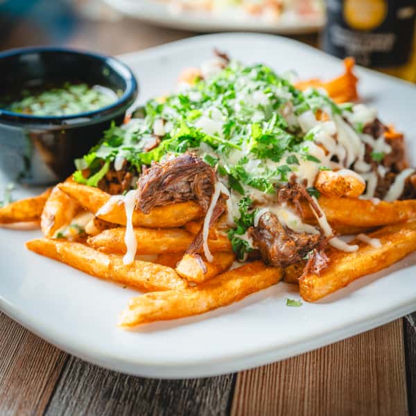 Birria Fries