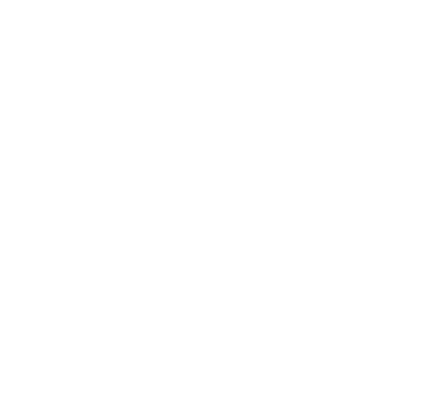 Sandwich Illustration