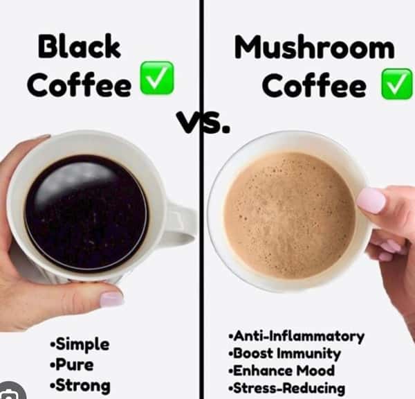Mushroom Coffee (hot or iced)
