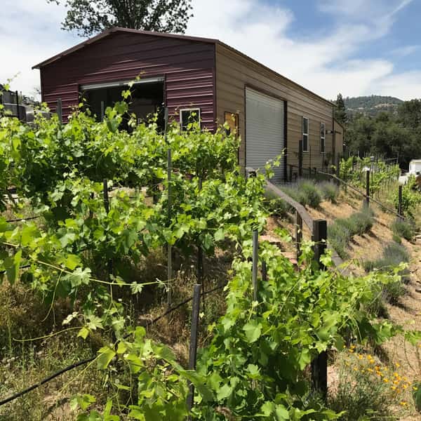 Winery cabin