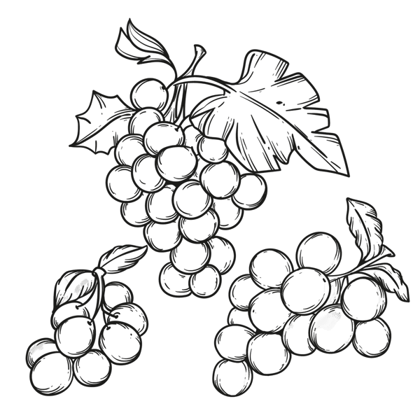 grape