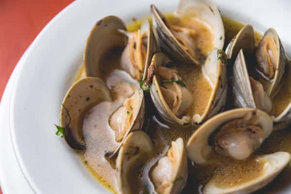Close-up of Italian seafood salad featuring shrimp, calamari, mussels, radicchio, and fresh basil.