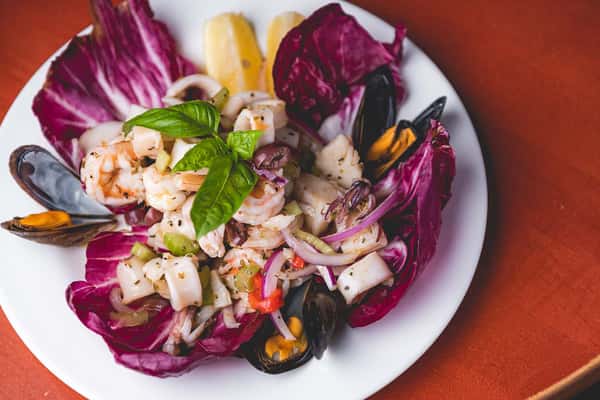 Italian seafood salad with shrimp, calamari, mussels, radicchio, and fresh herbs at Pasta Lovers Trattoria.