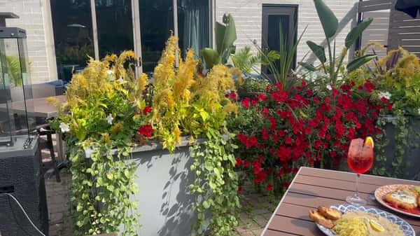 The Patio at Bella Napoli