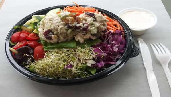Cranberry Walnut Chicken Salad on Salad