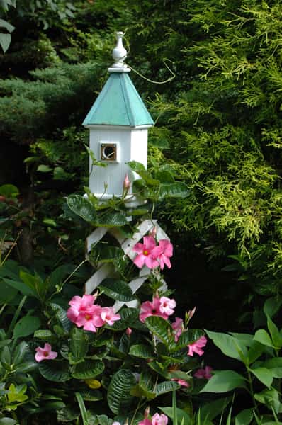 birdhouse