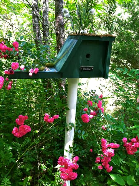 birdhouse
