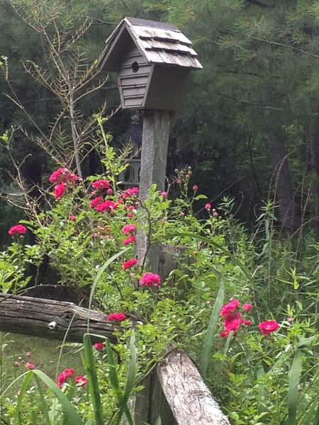 birdhouse