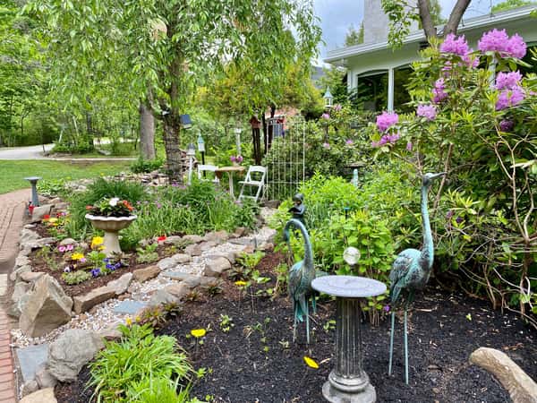 exterior garden