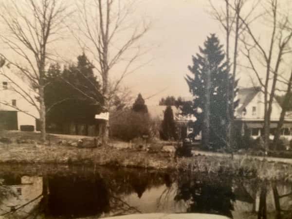 1986