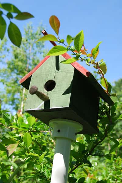 birdhouse