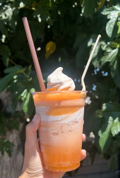 Ice Cream Floats