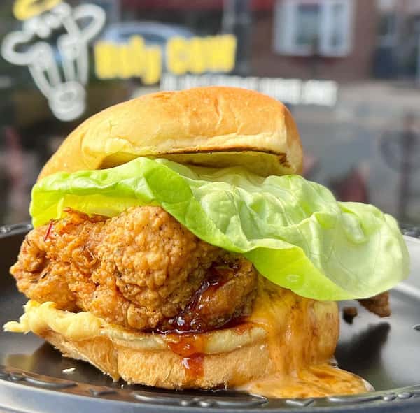 OMG Fried Chicken Sandwich