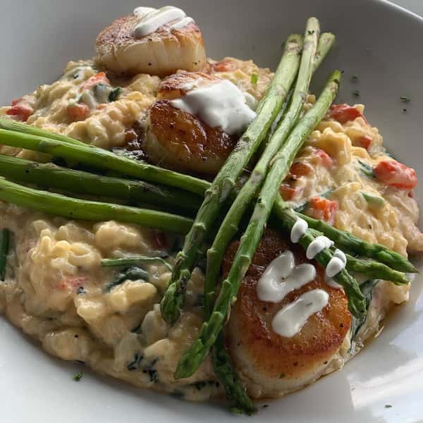 Scallop Risotto
