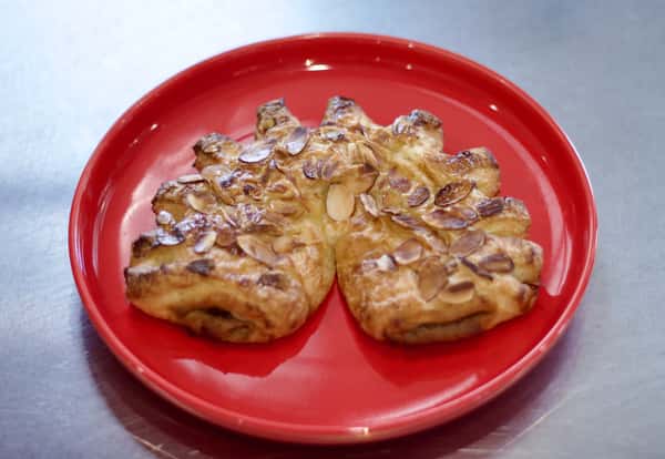 Bear Claw