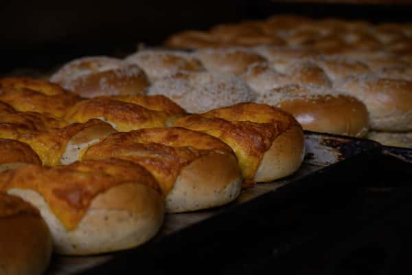 Freshly baked cheese bagels and sesame bagels cooling on trays inside a bakery oven