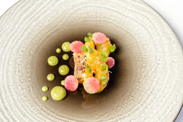 Argentinian Shrimp