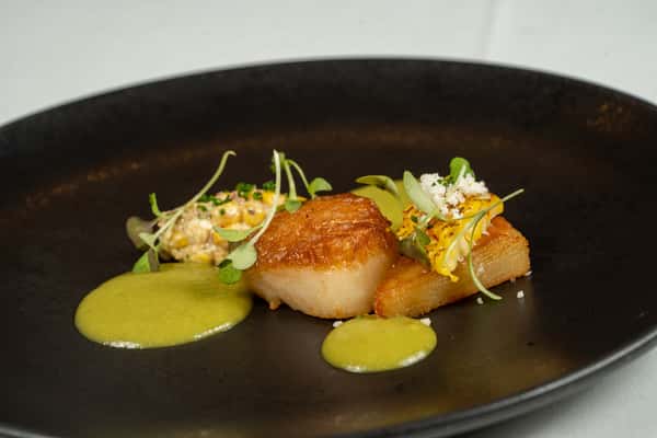scallop