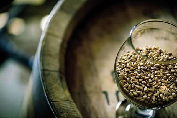 seeds in glass