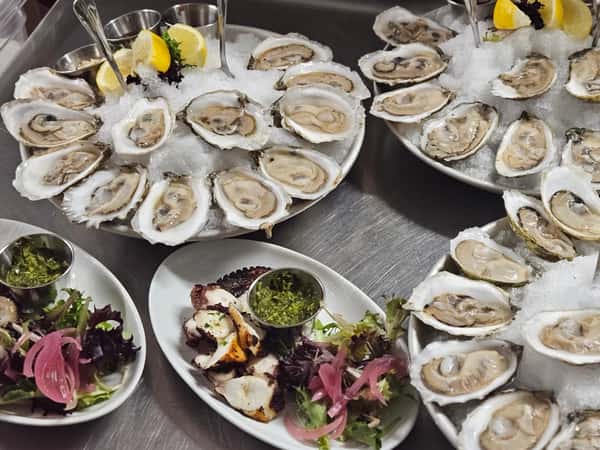 Oysters