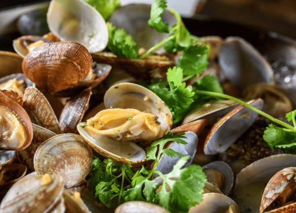 Steamed Clams