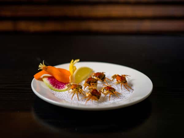 dISH