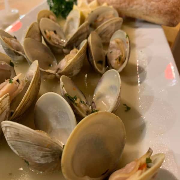 Opened clams on a plate