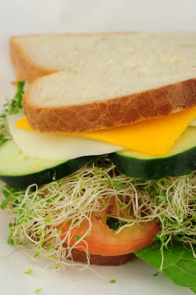 Nature Sandwich