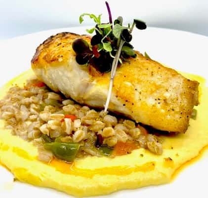 SEARED BLACK GROUPER