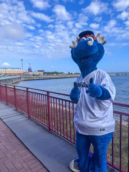 Last call to meet Kazoo at Nick’s! 💙⚾️

Bring the kids and join us before today’s Blue Wahoos home game for our final Kazoo Meet & Greet of the season.

A little family fun, a great meal, and one more Wahoos game to close out the season.
