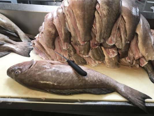 Fresh Gulf Seafood