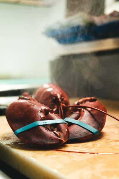 WholeLobster