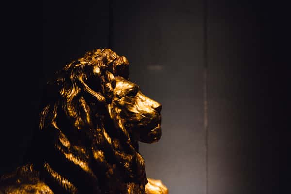 gold lion