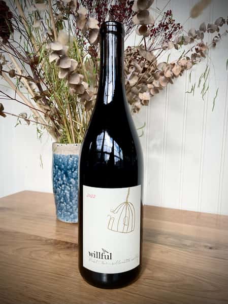 Pinot Noir - Willful 2022