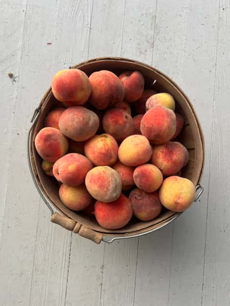 peaches