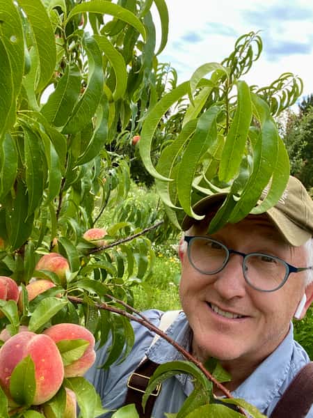 TJ Callahan picks peaches