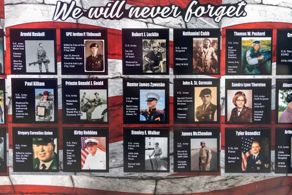vets
