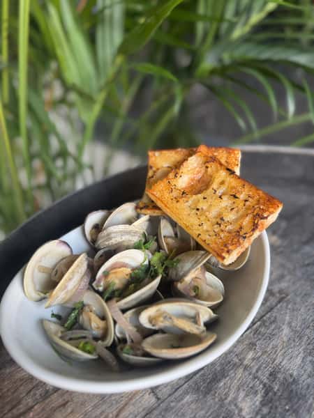 Steamed Clams