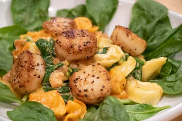 Pasta with Seared Scallops