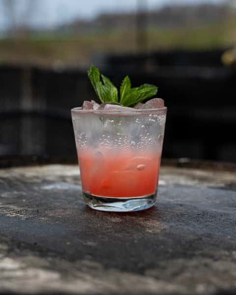 Watermelon Mint Shrub