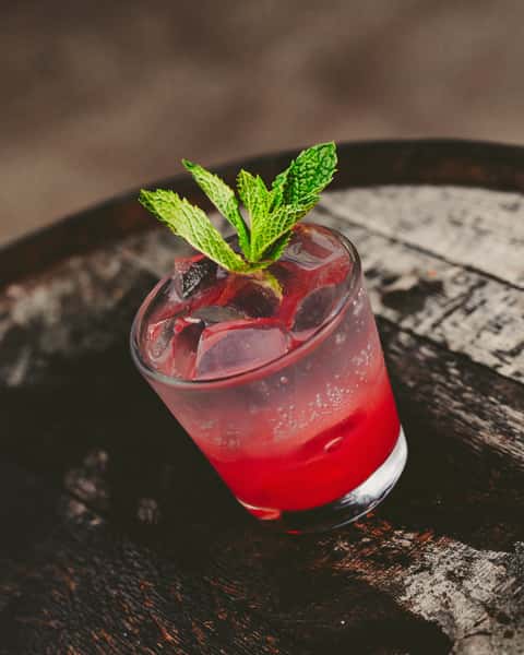 WATERMELON MINT SHRUB