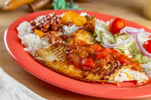 Tilapia